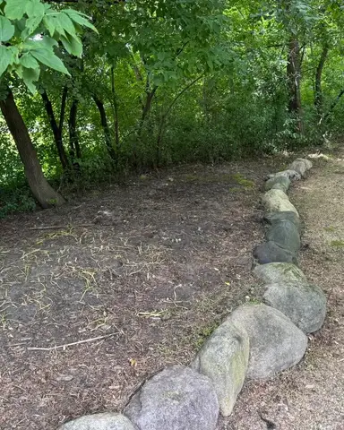 Wooded area with stone border and natural ground cover in Lakeville, MN